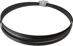 Irwin Blades - 10 TPI, 7' 5" Long x 1/2" Wide x 0.035" Thick, Welded Band Saw Blade - Bi-Metal, Toothed Edge, Raker Tooth Set - Benchmark Tooling