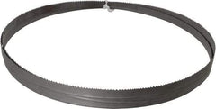 Irwin Blades - 8 to 12 TPI, 8' 2" Long x 1/2" Wide x 0.025" Thick, Welded Band Saw Blade - Bi-Metal, Toothed Edge - Benchmark Tooling