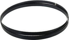 Starrett - 6 TPI, 10' 5" Long x 3/4" Wide x 0.032" Thick, Welded Band Saw Blade - Carbon Steel, Toothed Edge, Raker Tooth Set, Flexible Back, Contour Cutting - Benchmark Tooling