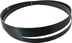 Starrett - 6 TPI, 10' 8" Long x 1" Wide x 0.035" Thick, Welded Band Saw Blade - Carbon Steel, Toothed Edge, Raker Tooth Set, Flexible Back, Contour Cutting - Benchmark Tooling