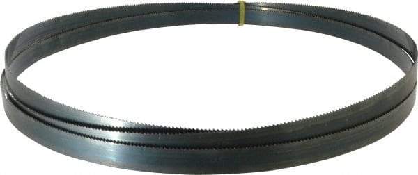 Starrett - 10 TPI, 10' 10-1/2" Long x 3/4" Wide x 0.032" Thick, Welded Band Saw Blade - Carbon Steel, Toothed Edge, Raker Tooth Set, Flexible Back, Contour Cutting - Benchmark Tooling