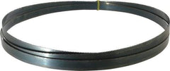 Starrett - 10 TPI, 10' 10-1/2" Long x 3/4" Wide x 0.032" Thick, Welded Band Saw Blade - Carbon Steel, Toothed Edge, Raker Tooth Set, Flexible Back, Contour Cutting - Benchmark Tooling