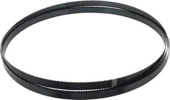 Starrett - 6 TPI, 11' 6" Long x 3/4" Wide x 0.032" Thick, Welded Band Saw Blade - Carbon Steel, Toothed Edge, Raker Tooth Set, Flexible Back, Contour Cutting - Benchmark Tooling