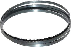 Starrett - 6 TPI, 12' 6" Long x 1/2" Wide x 0.025" Thick, Welded Band Saw Blade - Carbon Steel, Toothed Edge, Raker Tooth Set, Flexible Back, Contour Cutting - Benchmark Tooling