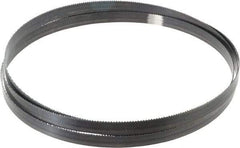 Starrett - 10 TPI, 7' 9" Long x 5/8" Wide x 0.032" Thick, Welded Band Saw Blade - Carbon Steel, Toothed Edge, Raker Tooth Set, Flexible Back, Contour Cutting - Benchmark Tooling