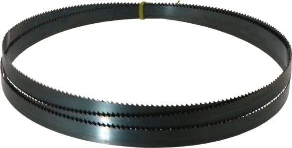 Starrett - 6 TPI, 9' Long x 3/4" Wide x 0.032" Thick, Welded Band Saw Blade - Carbon Steel, Toothed Edge, Raker Tooth Set, Flexible Back, Contour Cutting - Benchmark Tooling