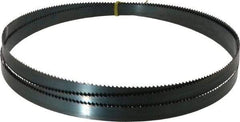 Starrett - 6 TPI, 9' Long x 3/4" Wide x 0.032" Thick, Welded Band Saw Blade - Carbon Steel, Toothed Edge, Raker Tooth Set, Flexible Back, Contour Cutting - Benchmark Tooling