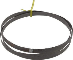 Starrett - 10 to 14 TPI, 5' 4-1/2" Long x 1/2" Wide x 0.025" Thick, Welded Band Saw Blade - Bi-Metal, Toothed Edge, Raker Tooth Set, Contour Cutting - Benchmark Tooling