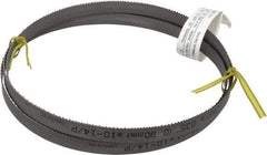 Starrett - 10 to 14 TPI, 5' 4-1/2" Long x 1/2" Wide x 0.035" Thick, Welded Band Saw Blade - Bi-Metal, Toothed Edge, Raker Tooth Set, Contour Cutting - Benchmark Tooling