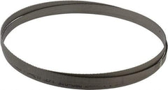 Starrett - 14 TPI, 7' 5" Long x 1/2" Wide x 0.035" Thick, Welded Band Saw Blade - Bi-Metal, Toothed Edge, Raker Tooth Set, Contour Cutting - Benchmark Tooling