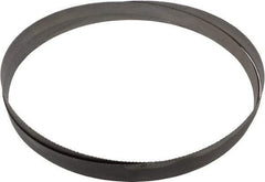 Starrett - 10 to 14 TPI, 12' Long x 1" Wide x 0.035" Thick, Welded Band Saw Blade - Bi-Metal, Toothed Edge, Raker Tooth Set, Contour Cutting - Benchmark Tooling