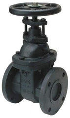 Legend Valve - 2-1/2" Pipe, Class 125, Flanged Cast Iron Solid Wedge OS & Y Gate Valve - 200 WOG, 125 WSP, Bolted Bonnet - Benchmark Tooling