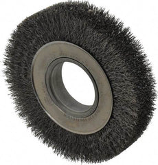 Weiler - 6" OD, 2" Arbor Hole, Crimped Steel Wheel Brush - 1-1/4" Face Width, 1-1/8" Trim Length, 0.0104" Filament Diam, 6,000 RPM - Benchmark Tooling