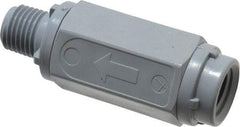 Specialty Mfr - 1/4" PVC Check Valve - Inline, MNPT x FNPT, 125 WOG - Benchmark Tooling