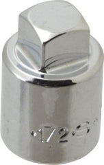 SK - 1/2" Drive, 1/2" Socket, Male Pipe Plug Socket - 4 Points, 1-3/8" OAL - Benchmark Tooling