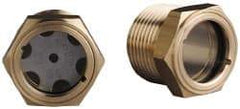 Trico - 1" Sight Diam, 3/4" Thread, 1-1/8" OAL, Viewport Sight Glass & Flow Sight - 1-1/8" Hex Head, Without Baffle - Benchmark Tooling