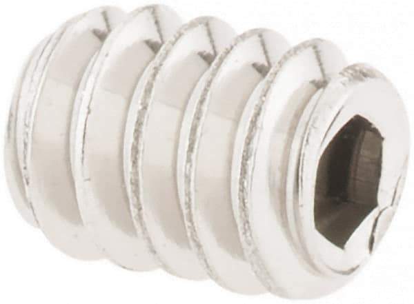 Value Collection - #6-32 UNC, 3/16" OAL, Cup Point Set Screw - Grade 18-8 Stainless Steel, 1/16" Key - Benchmark Tooling