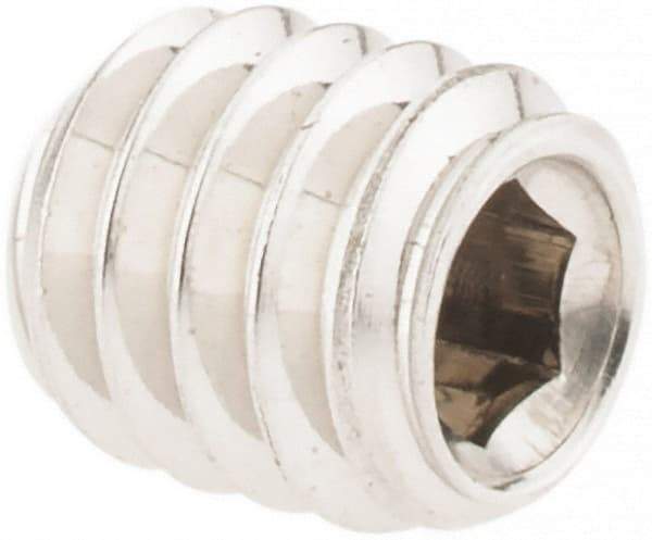 Value Collection - #8-32 UNC, 3/16" OAL, Cup Point Set Screw - Grade 18-8 Stainless Steel, 5/64" Key - Benchmark Tooling