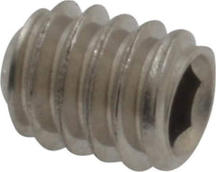Value Collection - 1/4-20 UNC, 5/16" OAL, Cup Point Set Screw - Grade 18-8 Stainless Steel, 1/8" Key - Benchmark Tooling