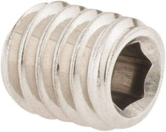 Value Collection - 5/16-18 UNC, 3/8" OAL, Cup Point Set Screw - Grade 18-8 Stainless Steel, 3/32" Key - Benchmark Tooling