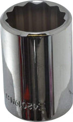 Blackhawk by Proto - 1/2" Drive, Standard Hand Socket - 12 Points, 1-1/2" OAL, Chrome Finish - Benchmark Tooling