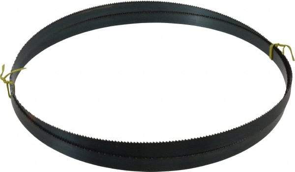 Starrett - 8 TPI, 10' 5" Long x 3/4" Wide x 0.032" Thick, Welded Band Saw Blade - Carbon Steel, Toothed Edge, Raker Tooth Set, Flexible Back, Contour Cutting - Benchmark Tooling