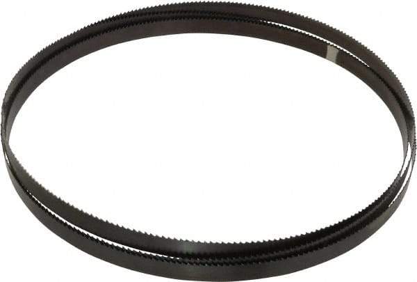 Starrett - 6 TPI, 10' 10-1/2" Long x 3/4" Wide x 0.032" Thick, Welded Band Saw Blade - Carbon Steel, Toothed Edge, Raker Tooth Set, Flexible Back, Contour Cutting - Benchmark Tooling