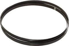 Starrett - 6 TPI, 10' 10-1/2" Long x 3/4" Wide x 0.032" Thick, Welded Band Saw Blade - Carbon Steel, Toothed Edge, Raker Tooth Set, Flexible Back, Contour Cutting - Benchmark Tooling