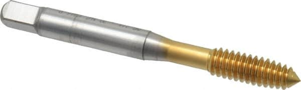 OSG - 1/4-20 UNC H6 Thread Limit Plug Thread Forming Tap - Cobalt, TiN Finish, 2-1/2" OAL, 1" Thread Length, Right Hand Thread, Series HY-PRO NRT - Benchmark Tooling