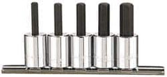 Paramount - 5 Piece 3/8" Drive Inch Hex Bit Socket Set - 3/16 to 3/8" Hex - Benchmark Tooling