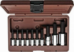 Paramount - 10 Piece 3/8 & 1/2" Drive Metric Hex Bit Socket Set - 4 to 17mm Hex - Benchmark Tooling