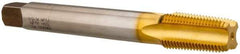 Hertel - 1/2-14 NPT, 4 Flute, Plug Chamfer, TiN Finish, High Speed Steel, Extension Pipe Tap - 6" OAL, 11/16" Shank Diam, 1-3/8" Thread Length - Benchmark Tooling