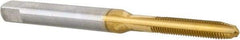 Hertel - M2.5x0.45 Metric Coarse 6H 3 Flute TiN Finish High Speed Steel Straight Flute Standard Hand Tap - Plug, Right Hand Thread, 1-13/16" OAL, 1/2" Thread Length, D3 Limit, Oversize - Exact Industrial Supply
