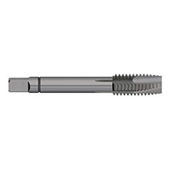 Spiral Point Tap: M8 x 1.25, Metric Coarse, 3 Flutes, Plug, 6H, Powdered Metal, Steam Oxide Finish 53/64″ Thread Length, 2.7188″ OAL, Right Hand, D5, Series 712