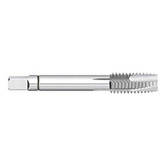 Spiral Point Tap: #4-40, UNC, 3 Flutes, Plug, 2B/3B, Powdered Metal, Uncoated 9/16″ Thread Length, 1-7/8″ OAL, Right Hand, H2, Series 772