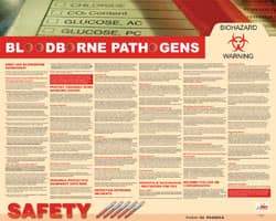 NMC - 30" Wide x 24" High Laminated Paper Bloodborne Pathogens Information Poster - English - Benchmark Tooling