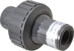 Plast-O-Matic - 1/2" PVC Check Valve - Inline, FNPT x FNPT, 150 WOG - Benchmark Tooling