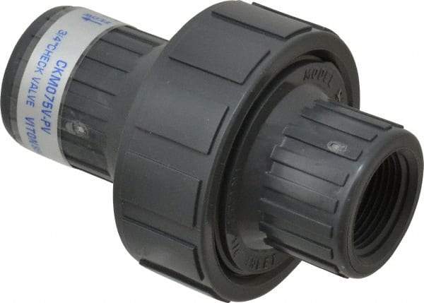 Plast-O-Matic - 3/4" PVC Check Valve - Inline, FNPT x FNPT, 150 WOG - Benchmark Tooling