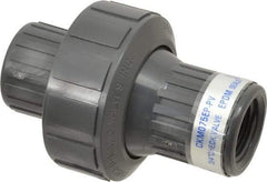 Plast-O-Matic - 3/4" PVC Check Valve - Inline, FNPT x FNPT, 150 WOG - Benchmark Tooling