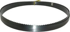 Starrett - 3 TPI, 18' 6" Long x 3/4" Wide x 0.032" Thick, Welded Band Saw Blade - Carbon Steel, Toothed Edge, Raker Tooth Set, Flexible Back, Contour Cutting - Benchmark Tooling