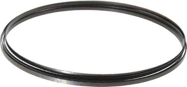 Starrett - 14 TPI, 12' 6" Long x 1/4" Wide x 0.025" Thick, Welded Band Saw Blade - Carbon Steel, Toothed Edge, Raker Tooth Set, Flexible Back, Contour Cutting - Benchmark Tooling