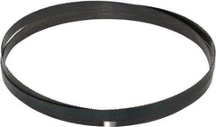 Starrett - 14 TPI, 6' 8" Long x 1/2" Wide x 0.025" Thick, Welded Band Saw Blade - Carbon Steel, Toothed Edge, Raker Tooth Set, Flexible Back, Contour Cutting - Benchmark Tooling