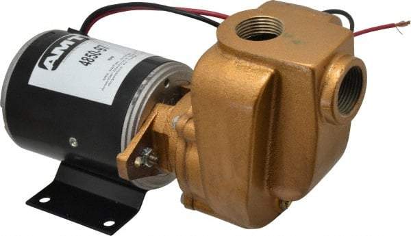 American Machine & Tool - 12 Volt, 1/8 hp, 3/4 Inlet, Bronze Utility Pump - 14 Max Head Pressure, 3/4 Inch Outlet - Benchmark Tooling