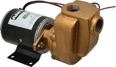 American Machine & Tool - 12 Volt, 1/8 hp, 3/4 Inlet, Bronze Utility Pump - 14 Max Head Pressure, 3/4 Inch Outlet - Benchmark Tooling