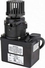 Little Giant Pumps - 1/35 HP, 12.8 Shut Off Feet, Magnetic Drive Pump - 1 Phase, 60 Hz - Benchmark Tooling