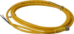 Brad Harrison - 4 Amp, M8 Female Straight to Pigtail Cordset Sensor and Receptacle - 60 VAC, 75 VDC, 2m Cable Length, IP68 Ingress Rating - Benchmark Tooling
