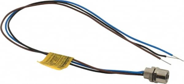 Brad Harrison - 4 Amp, M8 Female Straight Receptacle - 60 VAC, 75 VDC, 0.30m Cable Length, IP67 Ingress Rating - Benchmark Tooling