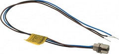 Brad Harrison - 4 Amp, M8 Female Straight Receptacle - 60 VAC, 75 VDC, 0.30m Cable Length, IP67 Ingress Rating - Benchmark Tooling