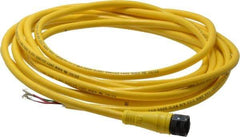 Brad Harrison - 4 Amp, 1/2-20 UNF Female Straight to Pigtail Cordset Sensor and Receptacle - 250 VAC/VDC, 3.70m Cable Length, IP67 Ingress Rating - Benchmark Tooling