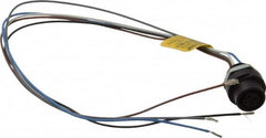 Brad Harrison - 4 Amp, M12 Female Straight Receptacle - 250 VAC/VDC, 0.31m Cable Length, IP67 Ingress Rating - Benchmark Tooling